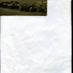 POSTAL SAN PEDRO DE VILAMAJOR (BARCELONA) 13-paisaje, edición L.Roisin c.a. 1930, al dorso Juan Bruguera Estanco