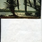 POSTAL EL AAIUN, SAHARA contra luz sobre el rio, imp en Austria, años 60 sin escribir ni circular