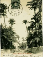 POSTAL ELCHE. Camino de los molinos, PZ 10076, circulada y escrita 1904
