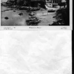POSTAL PALAMOS 79 detalle de la Fosca, edición C.MAURI, sin escribir