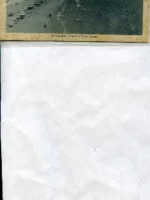 POSTAL BENIDORM chalets y playa de Levante sin datos años 50