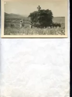 POSTAL COMERCIAL, cuño DAVID TORRECILLAS, HARO, edición imp Viela,Haro escrita y circulada en 1938, guerra civil cuño CENSURA MILITAR HARO