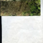 POSTAL GRAN CANARIA 263, Moya (Gran Canaria) vista general, edición LUJO(Zaragoza) (circulada 1958)