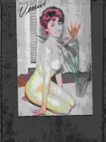 VENUS revista de fotografías de desnudos femeninos, sin fecha ni editor, años 60, 32 fotos