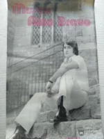 cartel NINO BRAVO, museo Ayelo de Malferit