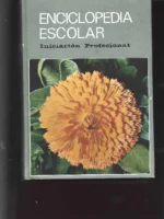 ENCICLOPEDIA ESCOLAR INICIACION PROFESIONAL H S R