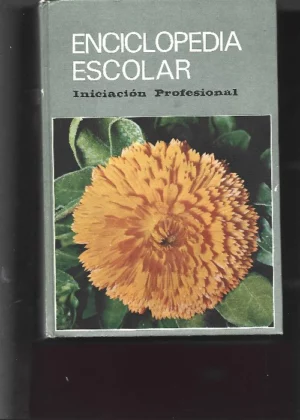 ENCICLOPEDIA ESCOLAR INICIACION PROFESIONAL H S R