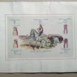 lamina HIERROS Y MARCAS en toros PORTUGUESES , Faustino de Gama, Maximo da Silva, Antonio de Oliveira .. 33x 46 cm,, carton blando