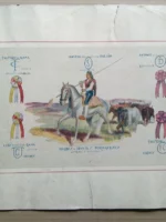 lamina HIERROS Y MARCAS en toros PORTUGUESES , Faustino de Gama, Maximo da Silva, Antonio de Oliveira .. 33x 46 cm,, carton blando