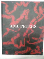 ANA PETERS 2007 IVAM