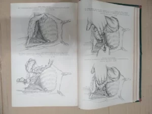 LA PRATIQUE CHIRURGICALE ILLUSTREÉ fascículos VI VII VIII