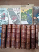 lote 22 libros LAS MIL Y UNA NOCHE falta el 3 de 23 completa , dibujo cubierta POVO