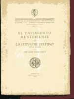 EL YACIMIENTO MUSTERIENSE DE LA CUEVA DEL COCHINO (VILLENA)
