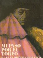 MI PASO POR EL TOREO