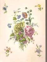 MARVORLAGEN FÜR PORZELLAN UND KERAMIK carpeta con 9 plantillas para decorar y pintar porcelanas y ceramica