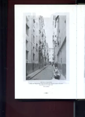 OBRAS ESCOGIDAS SOBRE ALCOY, TOMO II: Alcoy y la guerra de Independencia, cosas de mi pueblo, antiguedades de Alcoy, historia del Alcoy foral hasta el siglo XVIII