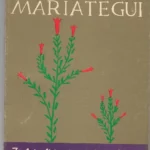 GRADUADO ESCOLAR CIENCIAS SOCIALES