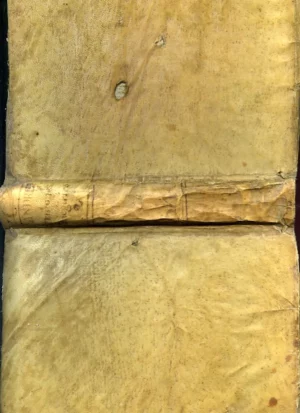 SERMONES PANEGIRICOS que dedica el autor al revº P Fr PEDRO JUAN DE MOLINA
