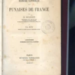 HISTOIRE NATURELLE DES PUNAISES DE FRANCE, LYGEIDES PIRRHOCORIENS LYGEENS