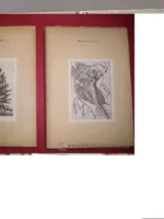 RELACION HISTORICA DEL VIAGE QUE HIZO A LOS REYNOS DEL PERU Y CHILE EL BOTANICO D.HIPOLITO RUIZ EN EL AÑO DE 1777-78 EN CUYA EPOCA REGRESO A MADRID