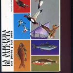 LA ALBUFERA DE VALENCIA, SUS PECES Y SUS AVES