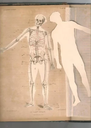 EL CUERPO HUMANO ATLAS DE ANATOMIA con descripción completa de las laminas, incluye vasos, nervios, encefalo, ojos,los aparatos de los sentidos y los organos genitales