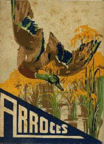 ARROCES: FORMULAS VARIADAS PARA GUISAR ARROZ recetas y 6 LAMINAS LITOGRAFICAS DE JOSE SEGRELLES