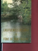 LAS FUENTES DE LIRIA O FONT DE SANT VICENT