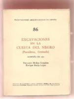 EXCAVACIONES EN LA CUESTA DEL NEGRO PURULLENA GRANADA