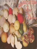 ARBORICULTURA JOSE DALMAU, CATALOGO GENERAL nº 35, temporada 1959-60 ,Paiporta