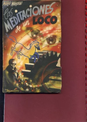 LAS MEDITACIONES DE UN LOCO cubierta de MONLEON