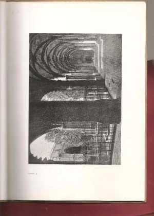 COSAS VIEJAS VI , LAMINAS FASCICULO 1º, (claustro catedral BARCELONA)
