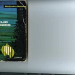 EL OJO MAGICO