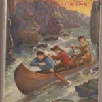 EL VALLE DEL ORO cubierta de AGUADO, ilustraciones de J.DALMAU