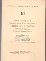 EXCAVACIONES EN EL POBLADO DE LA EDAD DEL BRONCE CERRO DE LA ENCINA , MONACHIL, corte estratigrafico nº 3
