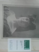 ELEGANTE, CONFIDENCIAL, REVISTA DE MODAS, PEINADOS Y BELLEZA, nos 21 a 32, año 1925 completo