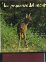 LOS PEQUEÑOS DEL MONTE, fotografias ALVARO SILVA y SERGIO DANGUILLECOURT