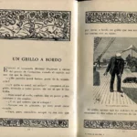 EL MATRIMONIO Y LAS CAUSAS MATRIMONIALES