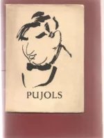 PUJOLS Y LOS ARTISTAS DE SU TIEMPO CATALOGO