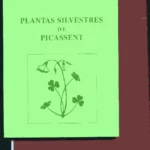 PLANTAS SILVESTRES DE PICASSENT