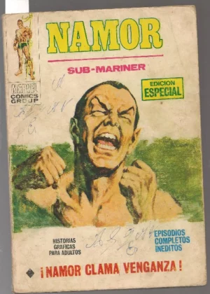 NAMOR lote 16 tebeos (nos 1, 2, 3, 10, 13,16, 17, 20, 21, 22, 23, 26, 29, 31, 32 33) y 2 incompletos 14 y 11 , ,, el 20, 21, 26 y 29 muy buen estado