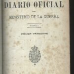 DIARIO OFICIAL DEL MINISTERIO DE LA GUERRA tomo I 1919