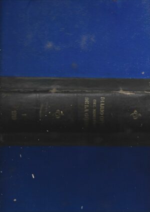 DIARIO OFICIAL DEL MINISTERIO DE LA GUERRA tomo I 1919