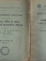 COMARCA DEL CAMPO DE LORCA Y VEGA DEL RIO GUADALENTIN MURCIA 3 tomos planos y memoria I y II 1953